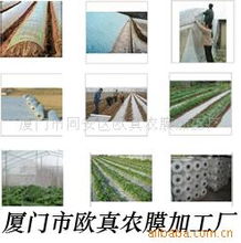 廈門市同安區(qū)歐真農(nóng)膜加工廠農(nóng)用薄膜產(chǎn)品列表